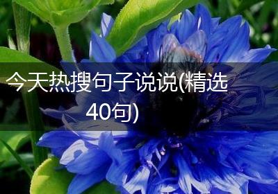 今天热搜句子说说(精选40句)