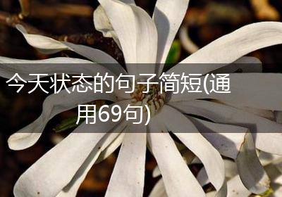 今天状态的句子简短(通用69句)