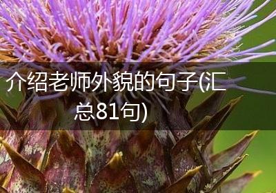 介绍老师外貌的句子(汇总81句)