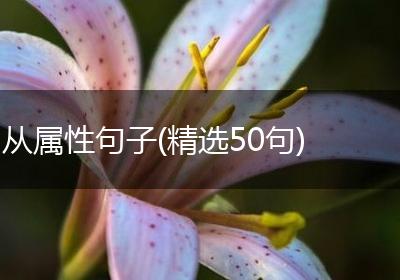 从属性句子(精选50句)