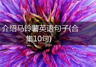 介绍马铃薯英语句子(合集10句)