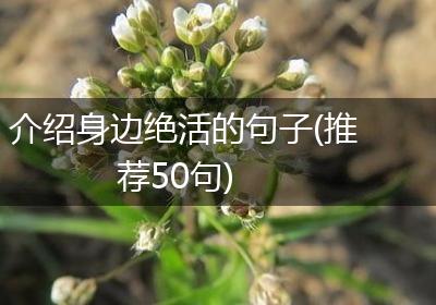 介绍身边绝活的句子(推荐50句)