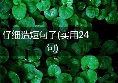 仔细造短句子(实用24句)