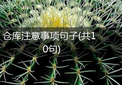 仓库注意事项句子(共10句)