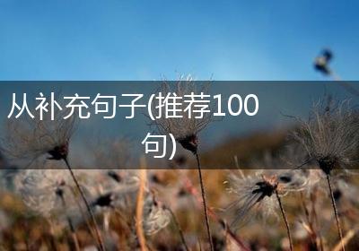 从补充句子(推荐100句)