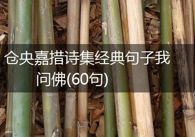 仓央嘉措诗集经典句子我问佛(60句)