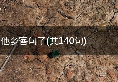 他乡客句子(共140句)