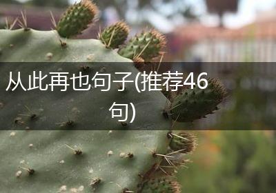 从此再也句子(推荐46句)