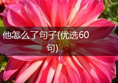 他怎么了句子(优选60句)