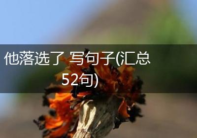 他落选了 写句子(汇总52句)