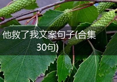 他救了我文案句子(合集30句)