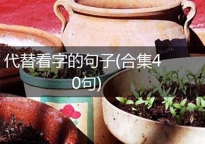 代替看字的句子(合集40句)