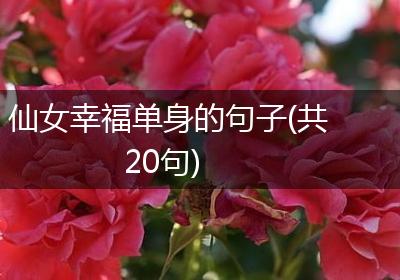 仙女幸福单身的句子(共20句)