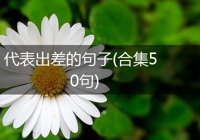 代表出差的句子(合集50句)