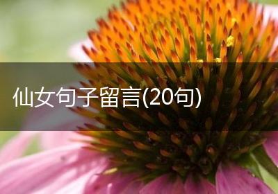 仙女句子留言(20句)