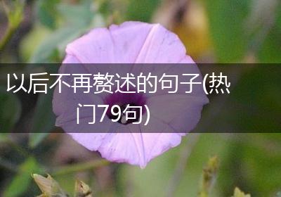 以后不再赘述的句子(热门79句)