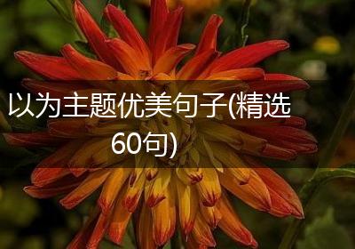 以为主题优美句子(精选60句)