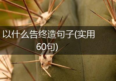 以什么告终造句子(实用60句)