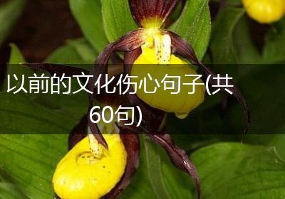 以前的文化伤心句子(共60句)