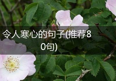 令人寒心的句子(推荐80句)
