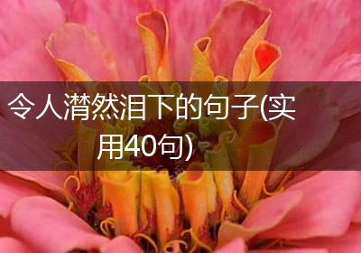 令人潸然泪下的句子(实用40句)