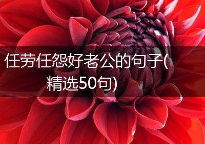 任劳任怨好老公的句子(精选50句)