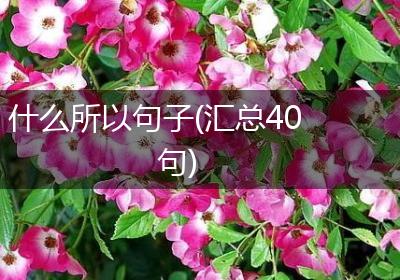什么所以句子(汇总40句)