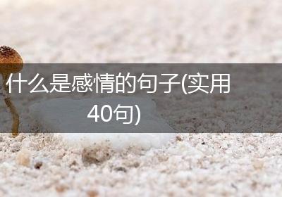 什么是感情的句子(实用40句)