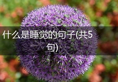 什么是睡觉的句子(共5句)