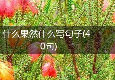 什么果然什么写句子(40句)
