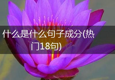 什么是什么句子成分(热门18句)