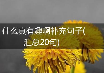 什么真有趣啊补充句子(汇总20句)