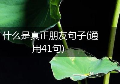什么是真正朋友句子(通用41句)