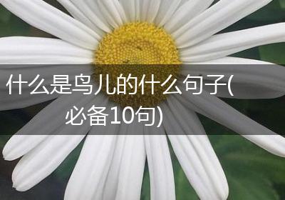 什么是鸟儿的什么句子(必备10句)