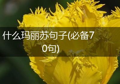 什么玛丽苏句子(必备70句)