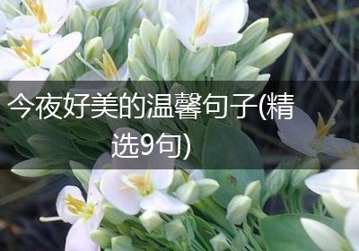 今夜好美的温馨句子(精选9句)