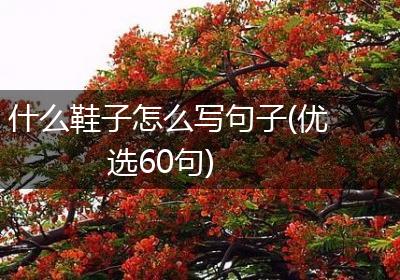 什么鞋子怎么写句子(优选60句)