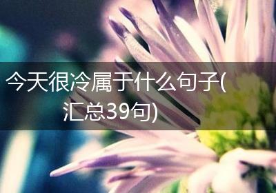 今天很冷属于什么句子(汇总39句)