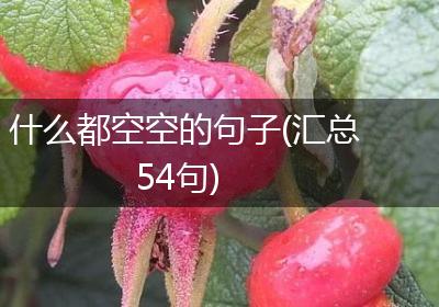什么都空空的句子(汇总54句)