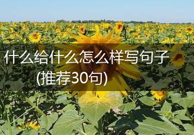 什么给什么怎么样写句子(推荐30句)
