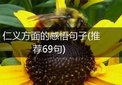 仁义方面的感悟句子(推荐69句)