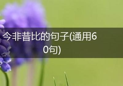 今非昔比的句子(通用60句)
