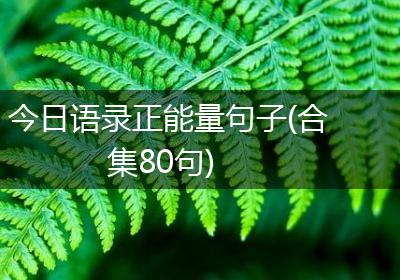 今日语录正能量句子(合集80句)