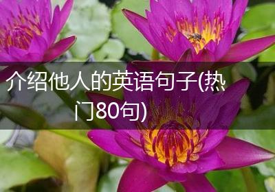 介绍他人的英语句子(热门80句)