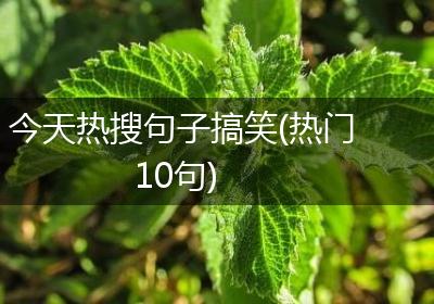 今天热搜句子搞笑(热门10句)