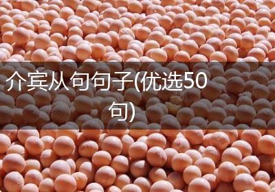 介宾从句句子(优选50句)