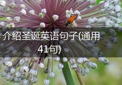 介绍圣诞英语句子(通用41句)