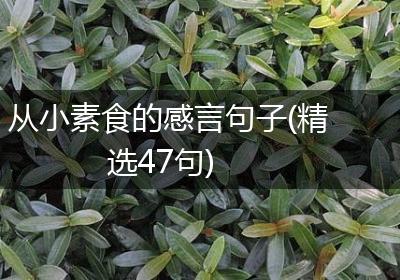 从小素食的感言句子(精选47句)