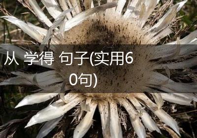 从 学得 句子(实用60句)