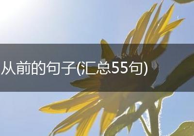 从前的句子(汇总55句)